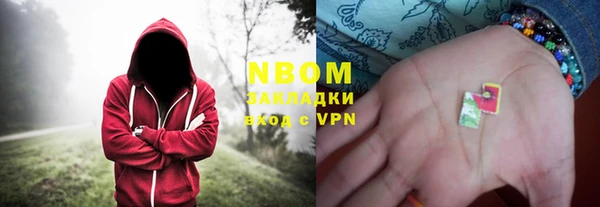 индика Балабаново