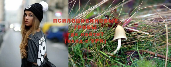 индика Балабаново