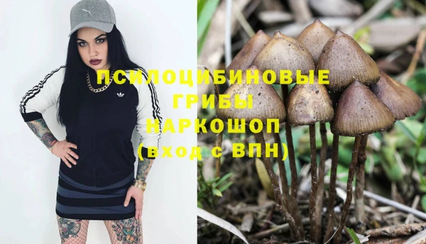 индика Балабаново